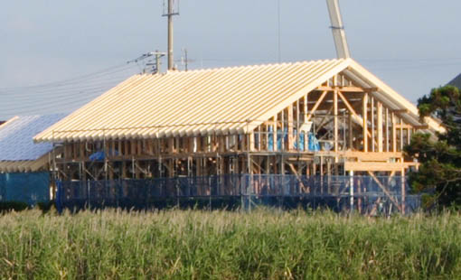 e0054299_1117196.jpg