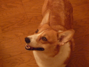 e0011102_23144912.jpg