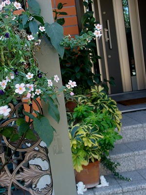 f0170524_15425533.jpg