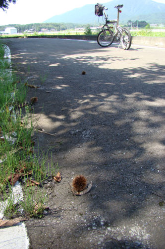 f0007926_19484445.jpg