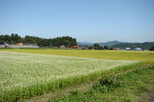 f0007926_19521343.jpg