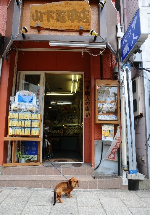 c0142535_85573.jpg