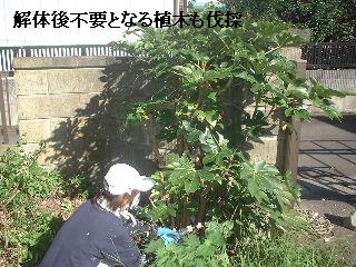 塗装工事とブロック解体_f0031037_20485061.jpg