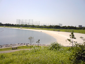 f0009439_2016470.jpg