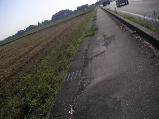 b0088444_22525774.jpg