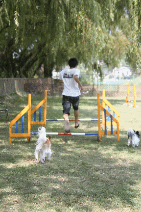 d0013149_11293792.gif