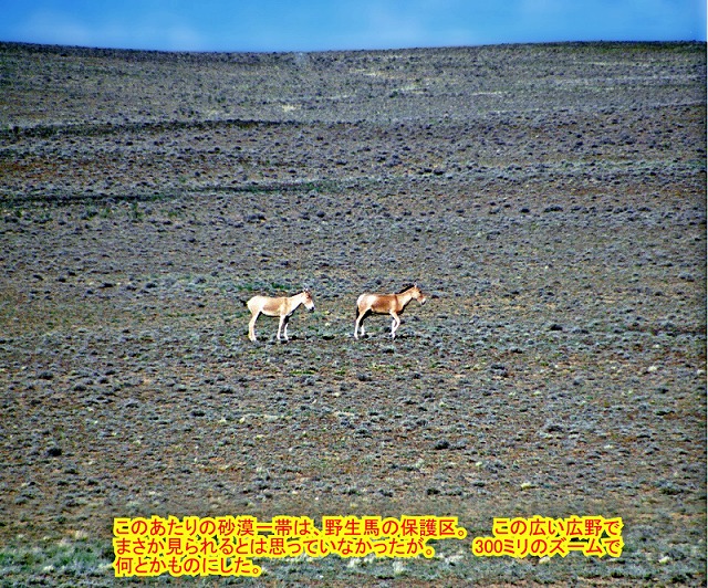 中国② ジュンガル盆地_e0108650_11215892.jpg