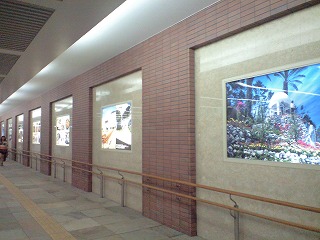 中央駅地下通路_b0061863_2034431.jpg