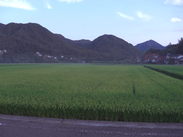 a0086067_9502090.gif