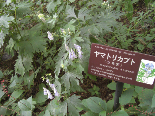 b0095671_23164473.jpg
