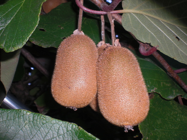 b0157276_2158725.jpg