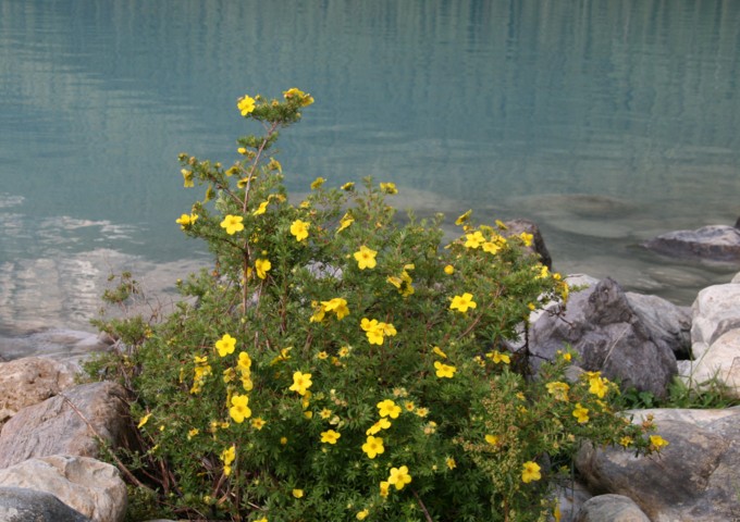 c0144185_14474435.jpg