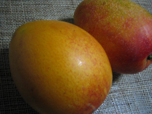 e0003090_8274883.jpg