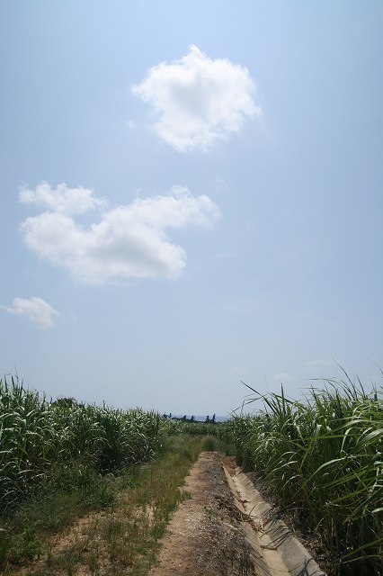 e0003090_8282096.jpg