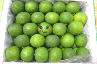 e0053491_1032739.gif