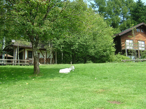 f0130693_9154187.jpg