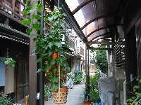 e0122199_1432198.jpg