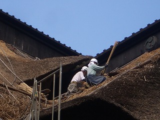月山・鳥海山を登る旅-1_c0124100_15255497.jpg