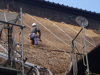 月山・鳥海山を登る旅-1_c0124100_15261732.jpg