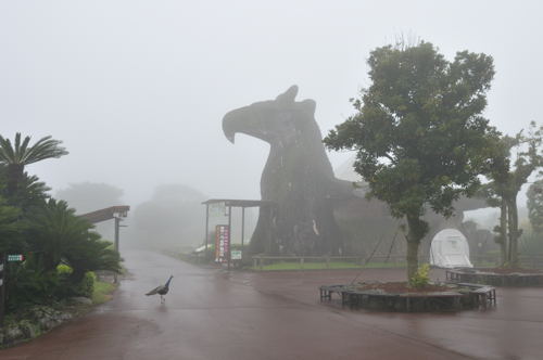 伊豆シャボテン公園で動物を撮る　NoⅥ・・・最終_c0093301_20254127.jpg