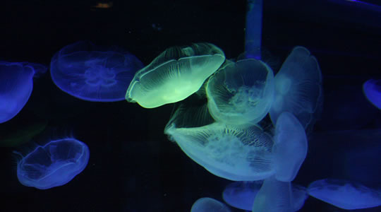 b0121904_227919.jpg