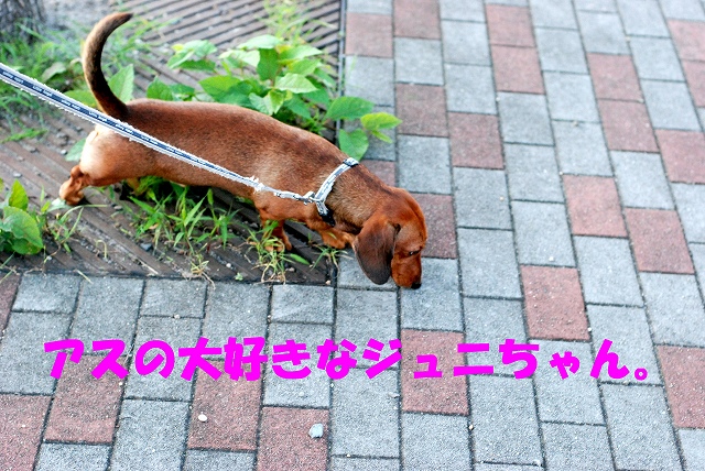c0116921_03550.jpg