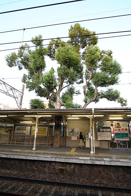 f0031423_20521173.jpg