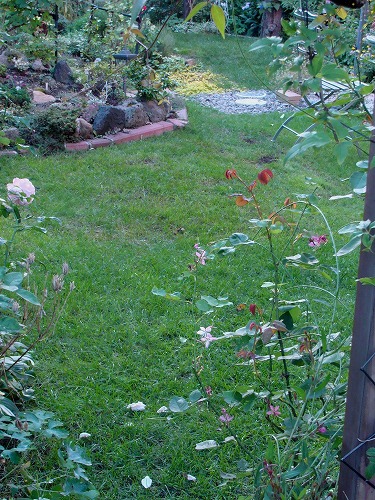 f0170524_11412570.jpg