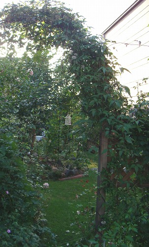 f0170524_114233.jpg