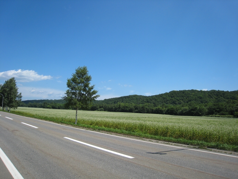 2008ツール･ド･北海道　その４_a0021727_2119745.jpg