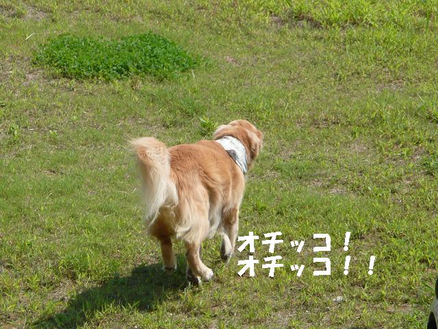 f0114128_15245014.jpg