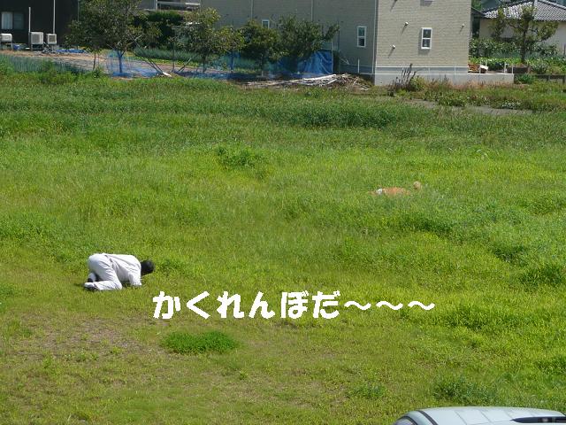 f0114128_15251985.jpg