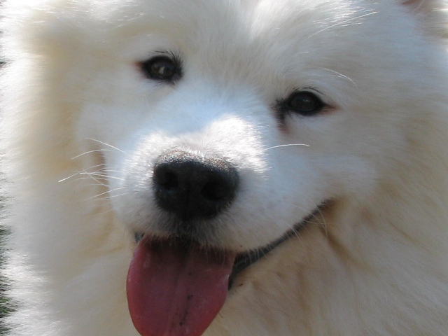 a0046161_21514665.jpg