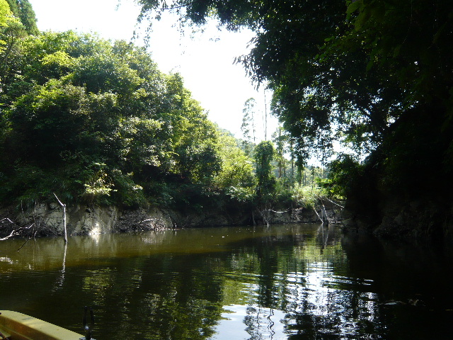 f0098161_16544559.jpg
