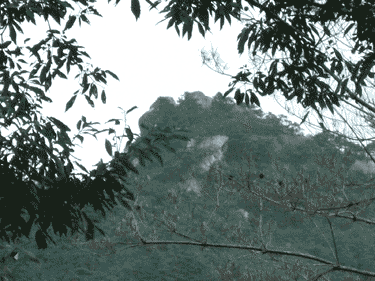 a0086067_107025.gif