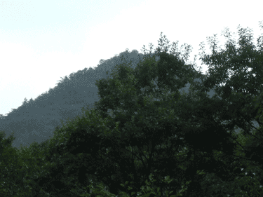 a0086067_1071970.gif