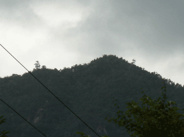 a0086067_1073184.gif