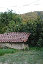 b0154786_1144863.jpg
