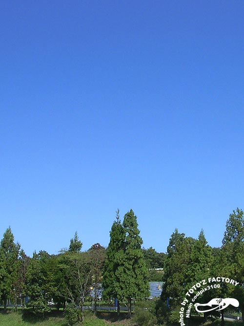 人生初めての・・・_a0034287_2185613.jpg
