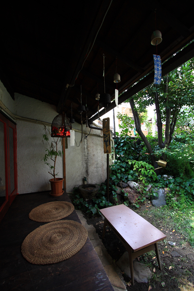 サラサ3_e0051888_2263821.jpg