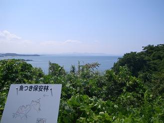 海を眺めて暮らす木の家(益田市・鎌手)_d0087595_1537426.jpg
