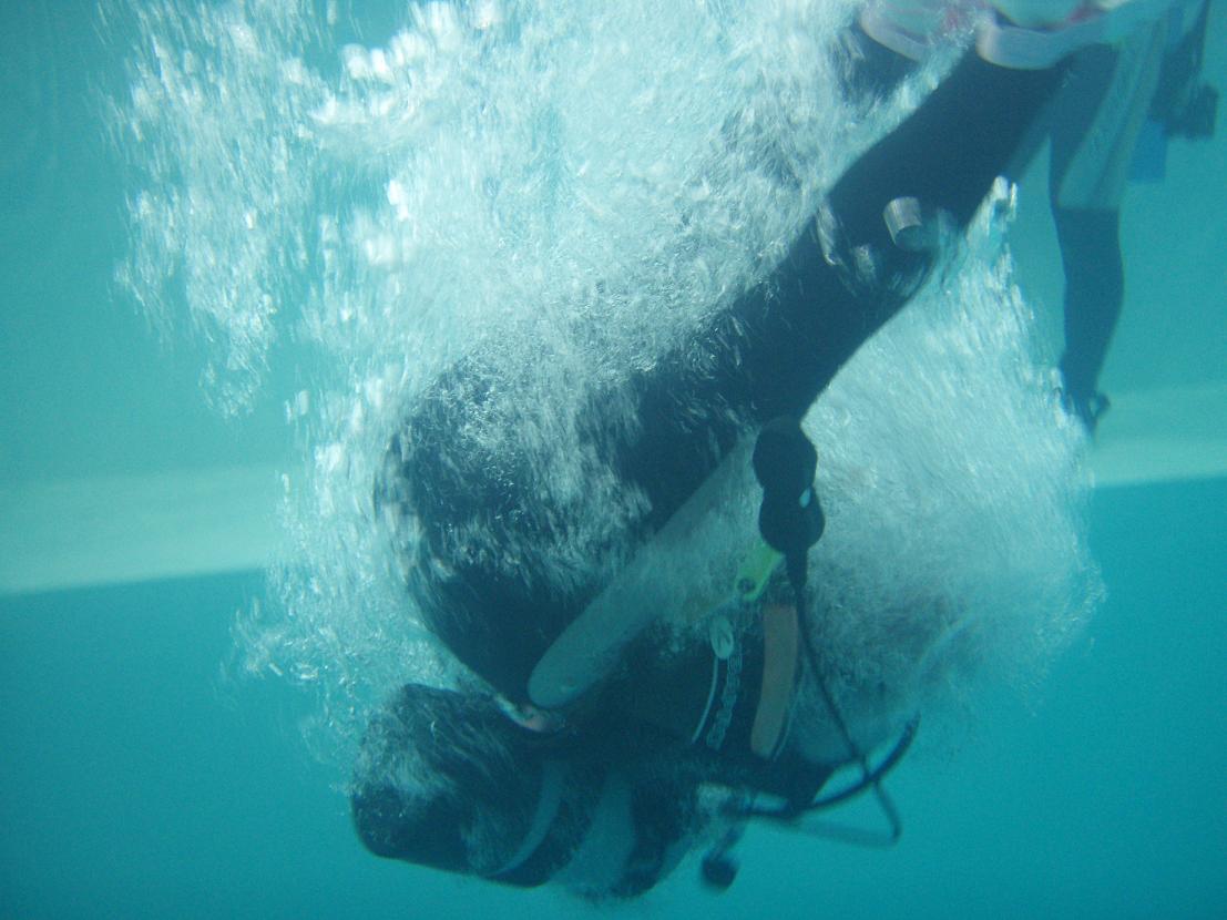 e0115199_2147545.jpg
