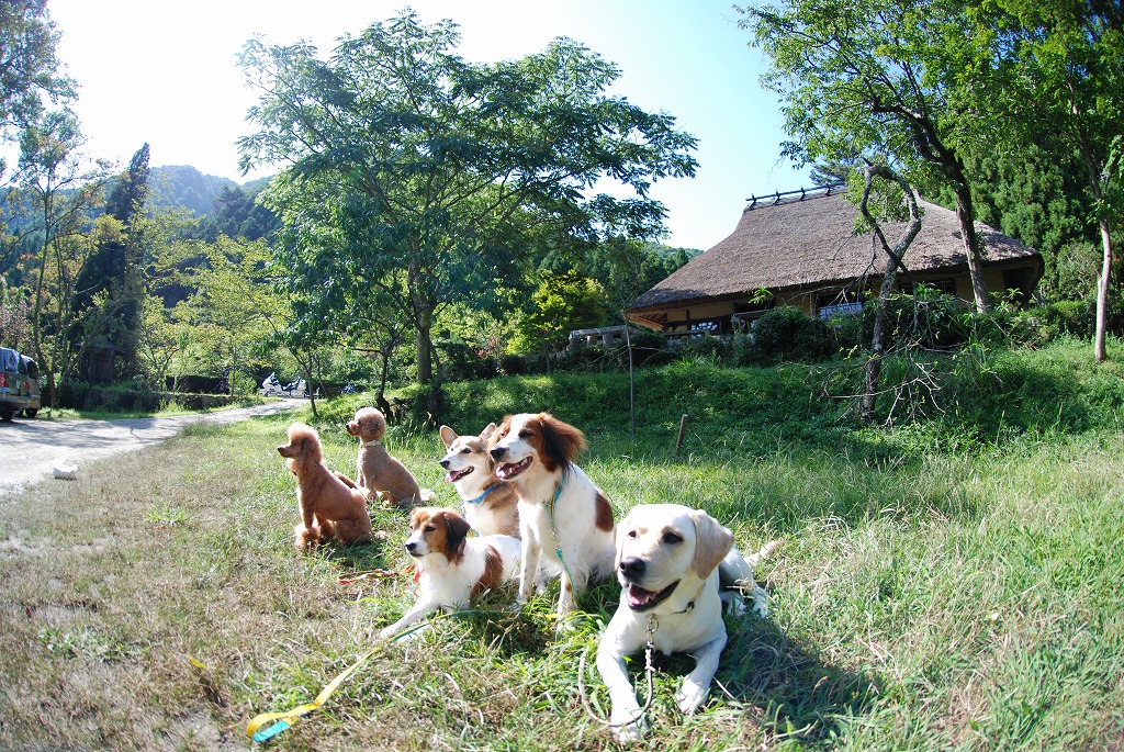 d0091700_227630.jpg