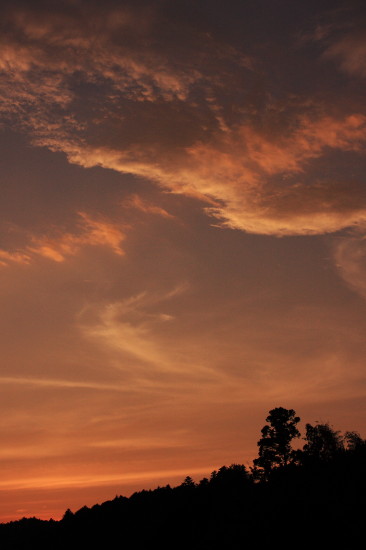 c0130306_7422985.jpg