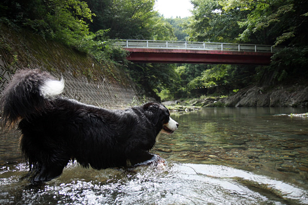 気ままに成り行きで_f0137508_22385655.jpg