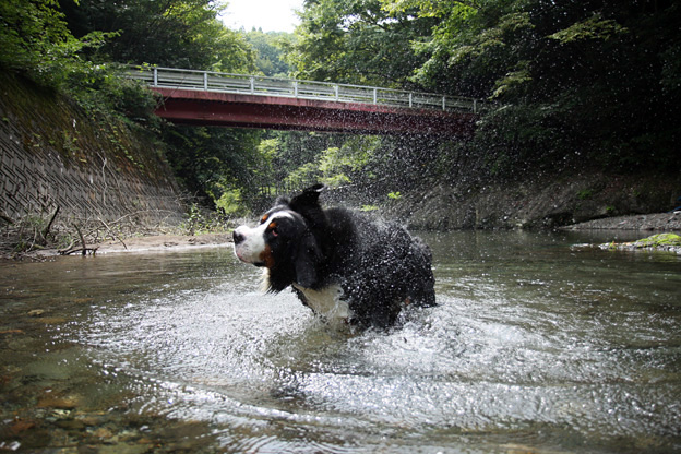 気ままに成り行きで_f0137508_22432541.jpg