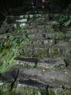 松山・高知旅行記①_f0178313_8573872.jpg