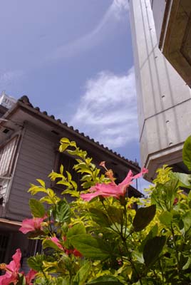 c0164514_23293685.jpg