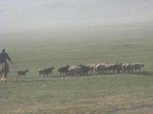 a0086316_16481112.jpg