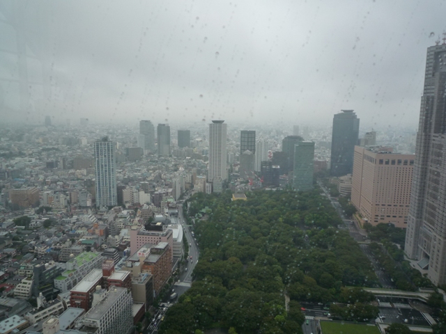 パークハイアット東京 － ピークラウンジ_a0107820_2230580.jpg